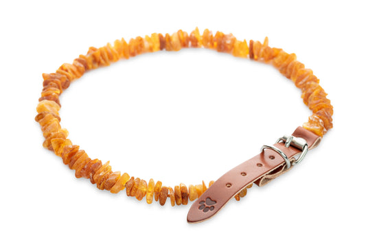 Amber Dog Collar 'Leather Strap'.Pet - Style - Jewelry