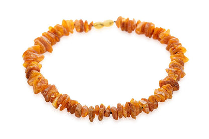 Baltic amber collar for dogs and cats - Baltic Mystery | Amber Jewelry